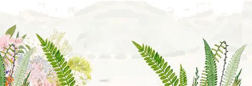 如何通过篮球训练和心理辅导提升自信_1